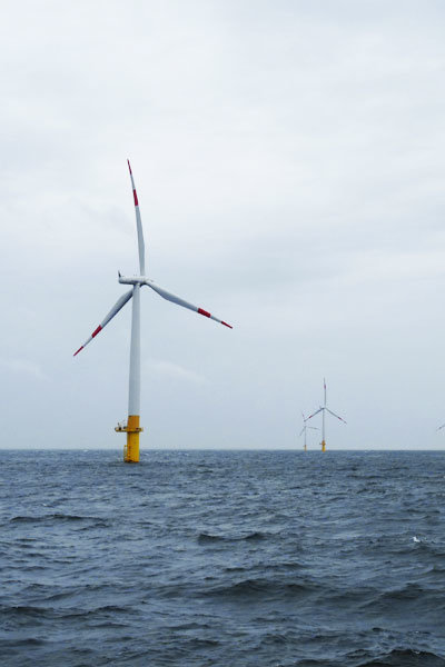 Bootsausflug mit der MS Alexander vor der Kreideküste auf der Insel Rügen und über die Ostsee buchen